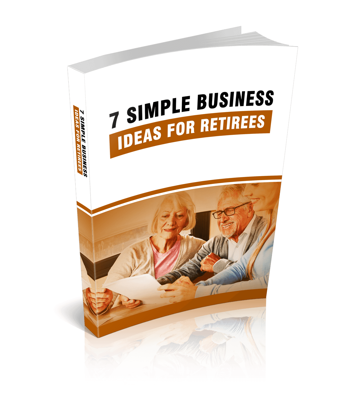 Limited PLR 7 Simple Business Ideas Review